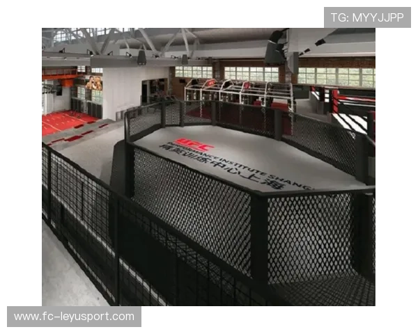 UFC训练营开展专项地面锁技课程