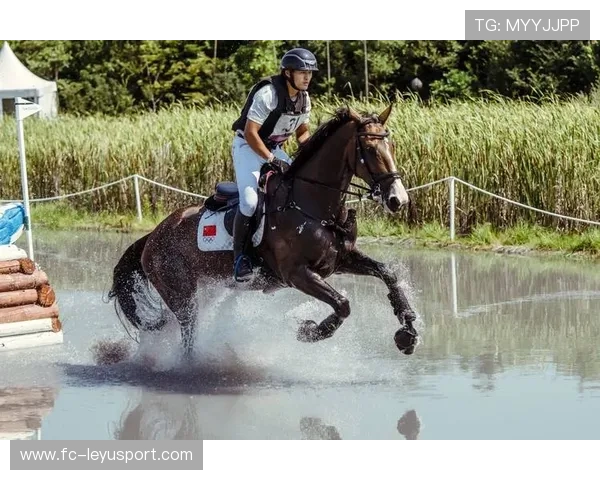伊朗骑手阿里·巴赫蒂亚里在巴黎奥运会上与“Shahram”马匹共同参赛，尽管因马匹受伤被迫退出，但展现了坚强意志。