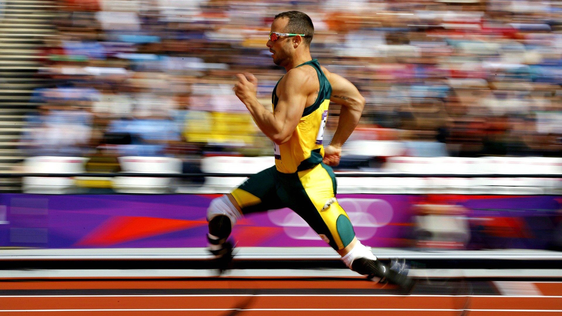 托里·哈斯克100米自由泳赛场表现稳健,美国游泳哈斯克