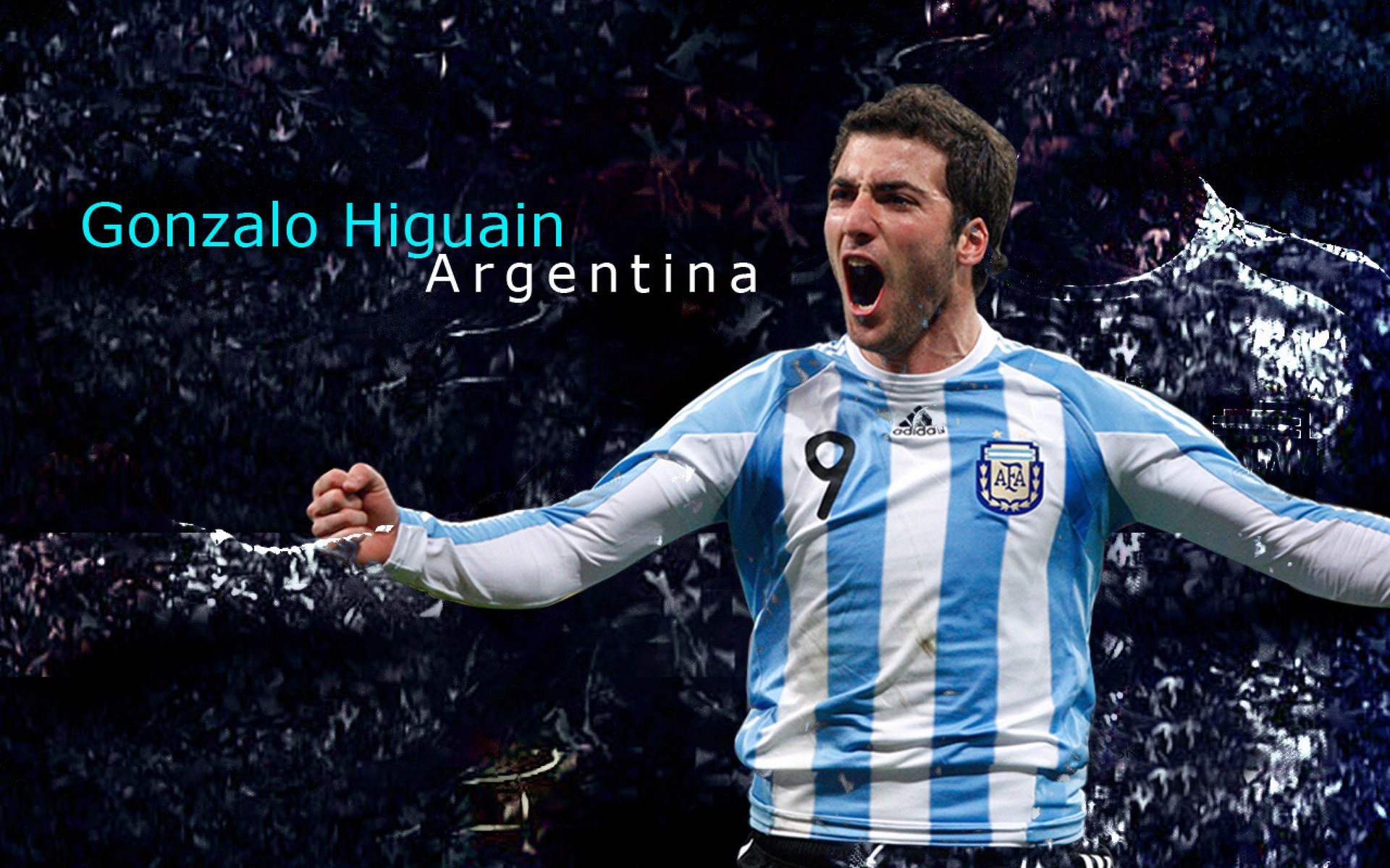 教练团队幕后功臣受赞誉，教练组成员